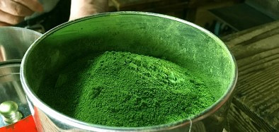 smooth matcha powder